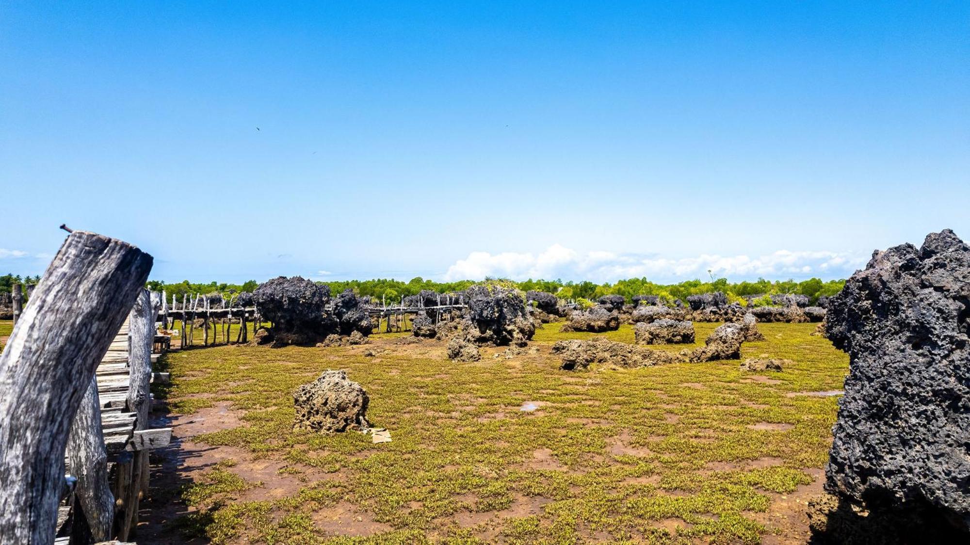 Shimoni Reef Lodge Exterior photo