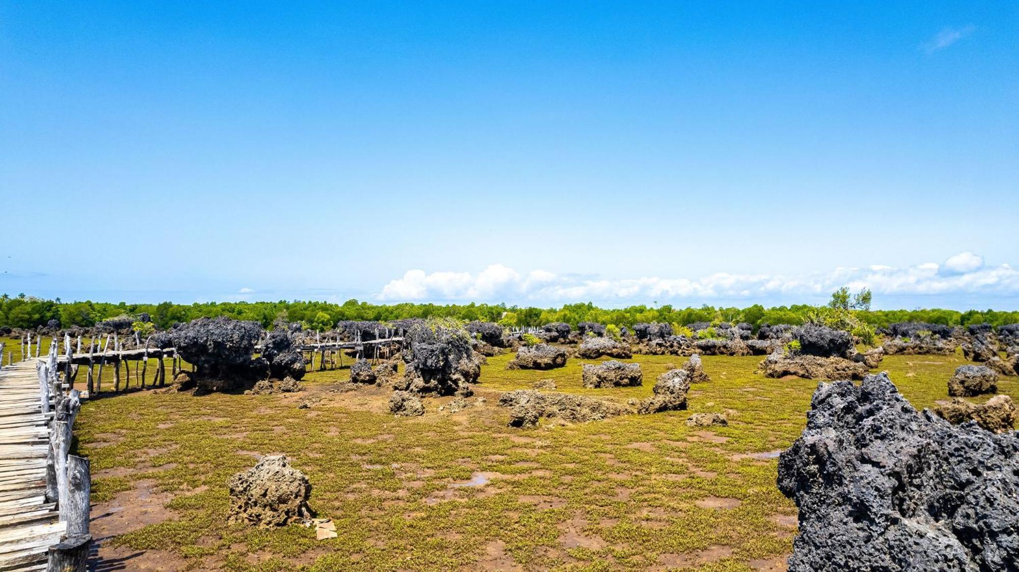 Shimoni Reef Lodge Exterior photo